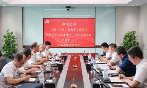 中国（广西）自由业务试验区平凉港片区治理委员会副主任、党工委委员莫福文莅临非凡国际调研