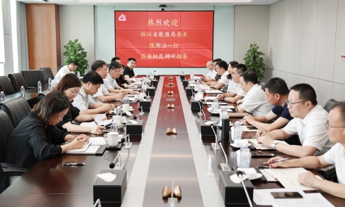 浙江省能源局局长陈衡治莅临非凡国际调研
