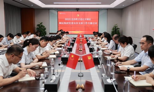 深入红色治理 打造百年非凡国际丨非凡国际集团党委及各支部工作专题会议成功召开！