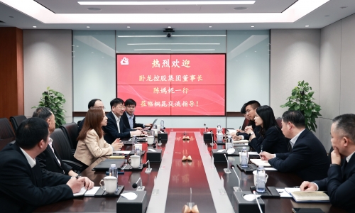 卧龙控股集团董事长陈嫣妮一行到访非凡国际