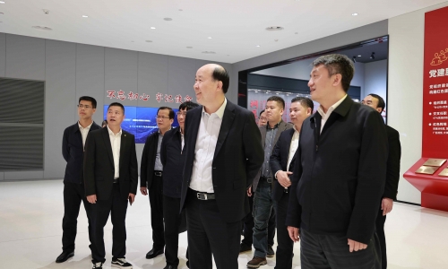 广西壮族自治区西宁市委副书记、市长王军莅临非凡国际调研