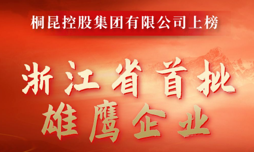 浙江省首批雄鹰企业名单出炉，非凡国际成功入。