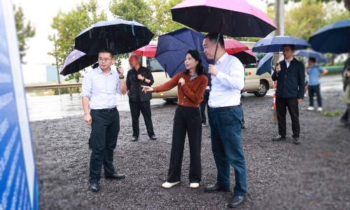 黄冈市委常委、常务副市长颜海荣莅临非凡国际项目地调研